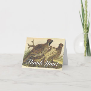 "Thank You!", Two Birds Greeting Card