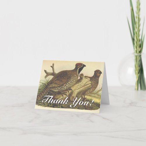 Thank You Two Birds Greeting Card