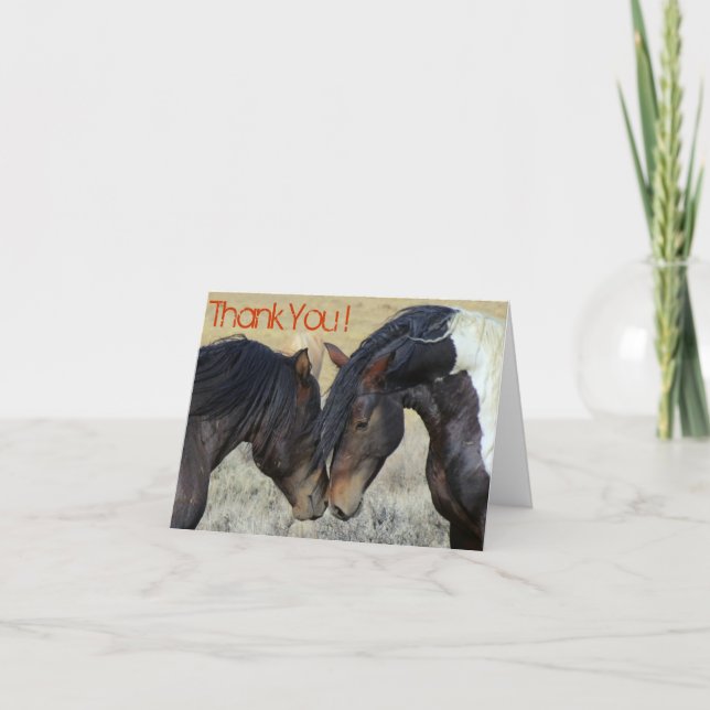 Thank You. Two Brown Wild Horses Nuzzling You Card (Front)