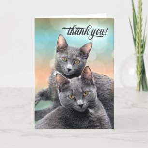 Thank You Two Gray Cats Card