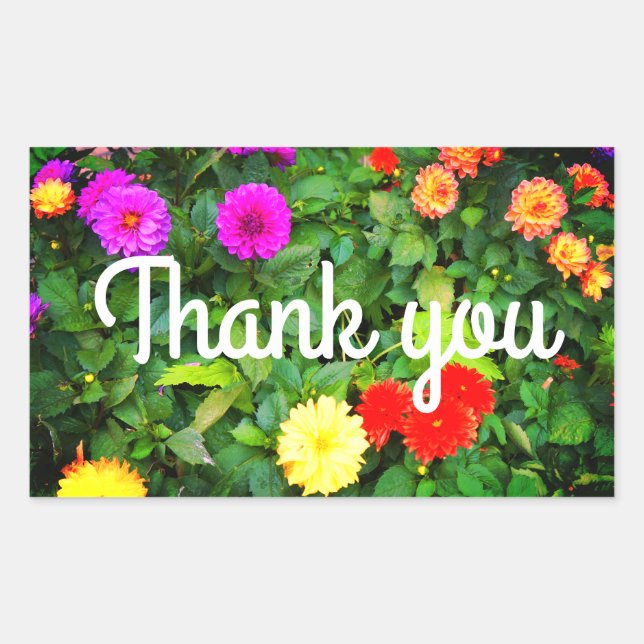 Thank You Various Dahlias #1-2 Stickers (Front)