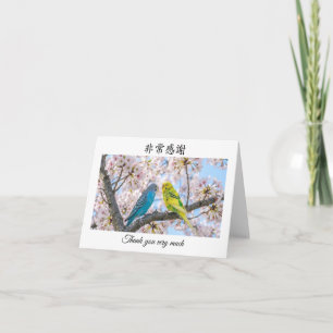 Thank you very much in Chinese Mandarin Budgies  Card