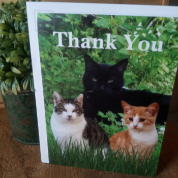 Thank You Veterinarian With Greeting  Card by Susang6 at Zazzle
