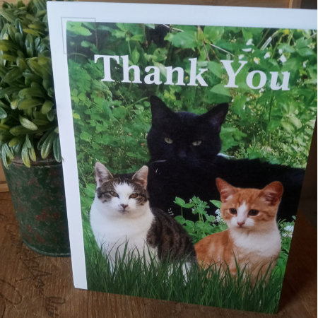 Thank You Veterinarian With Greeting  Card