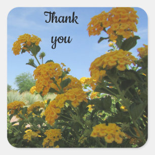 Thank You Vivid Yellow Flower Photo Appreciation Square Sticker