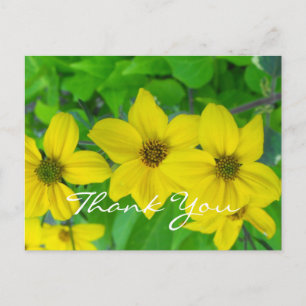 thank you volunteer pretty yellow flowers postcard