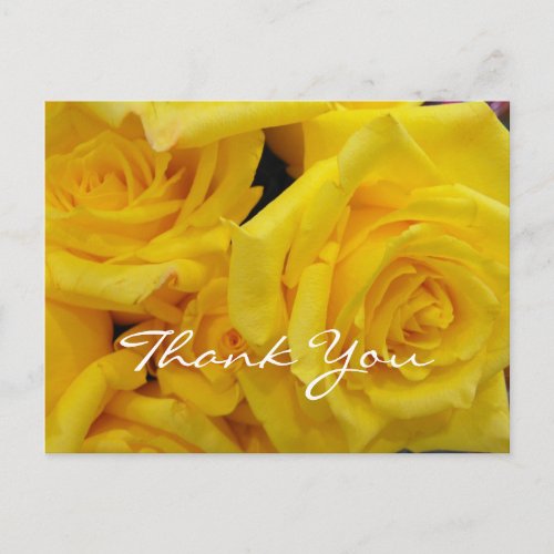 thank you volunteer yellow rose flowers postcard