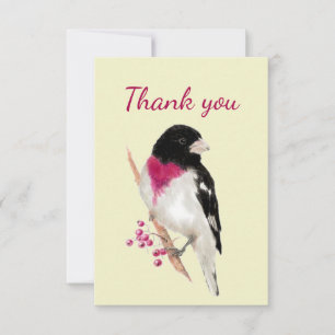 Thank You Watercolor Rose Breasted Grosbeak Bird Card