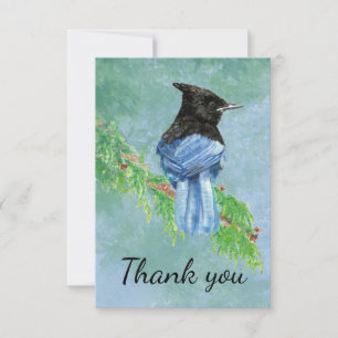 Thank You Watercolor Stellar Jay Bird Card