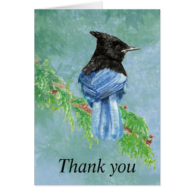 Thank you Watercolor Stellar Jay Bird Nature (Front)