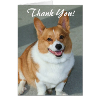 Corgi Thank You Cards - Greeting & Photo Cards 