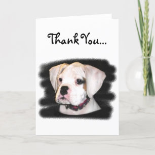 Thank You white boxer puppy greeting card