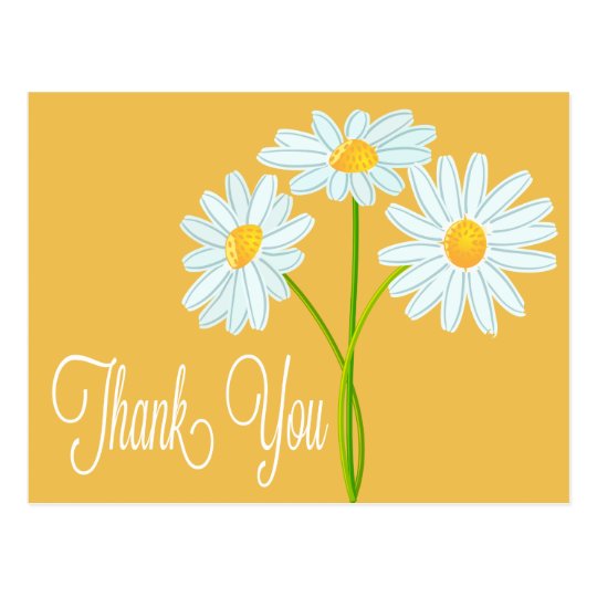 Thank You White Daisy Flower Orange Post Card | Zazzle.com