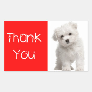 Thank You White Maltese Puppy Dog Sticker / Label