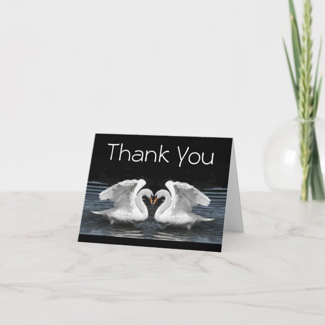 Thank You --  White Mute Swans Photography (Front)
