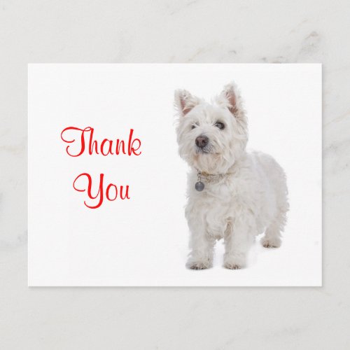 Thank You White Westie Puppy Dog Greeting Postcard