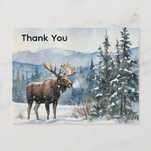 Thank You Wildlife Moose in Snow Thank You  Postcard
