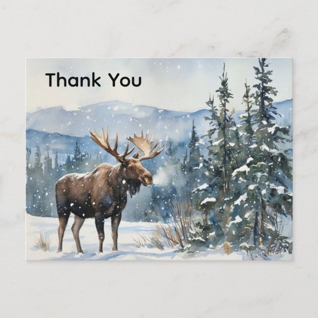 Thank You Wildlife Moose in Snow Thank You  Postcard (Front)