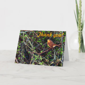 Thank you! with a Robin Letterpress Thank You Card