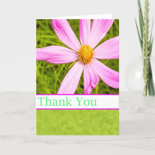 Thank You With Pink Cosmos Flower