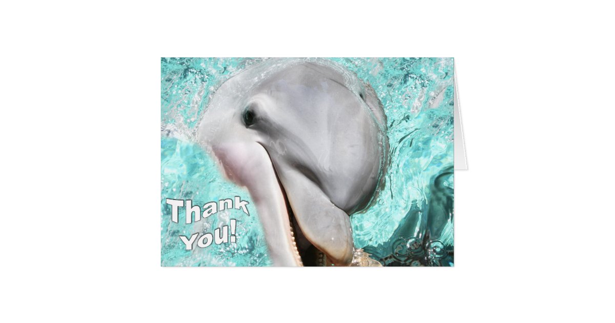Thank You With Smiling Dolphin Card | Zazzle