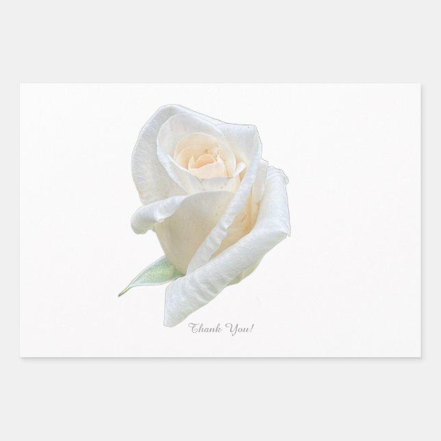 Thank You! Wrapping Paper Sheets (Front 3)
