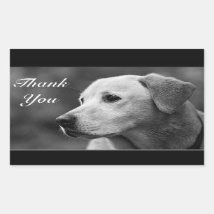 Thank You Yellow Labrador Retriever Sticker