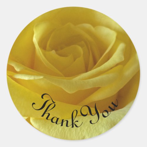 Thank You Yellow Rose Photo Appreciation Classic Round Sticker