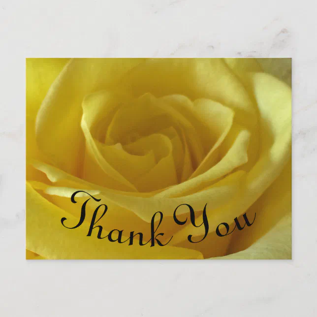 Thank You Yellow Rose Photo Appreciation Postcard | Zazzle