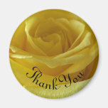 Thank You Yellow Rose Photo Garden Flower Magnet