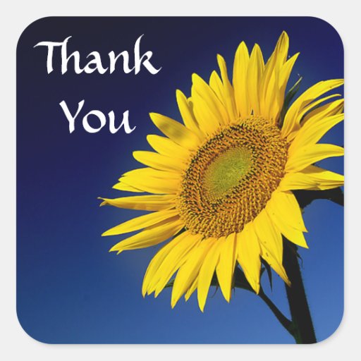 Thank You Yellow Sunflower Greeting Sticker Label | Zazzle