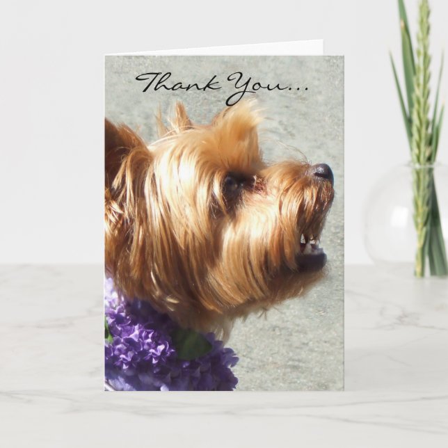 Thank You Yorkshire Terrier Greeting Card (Front)