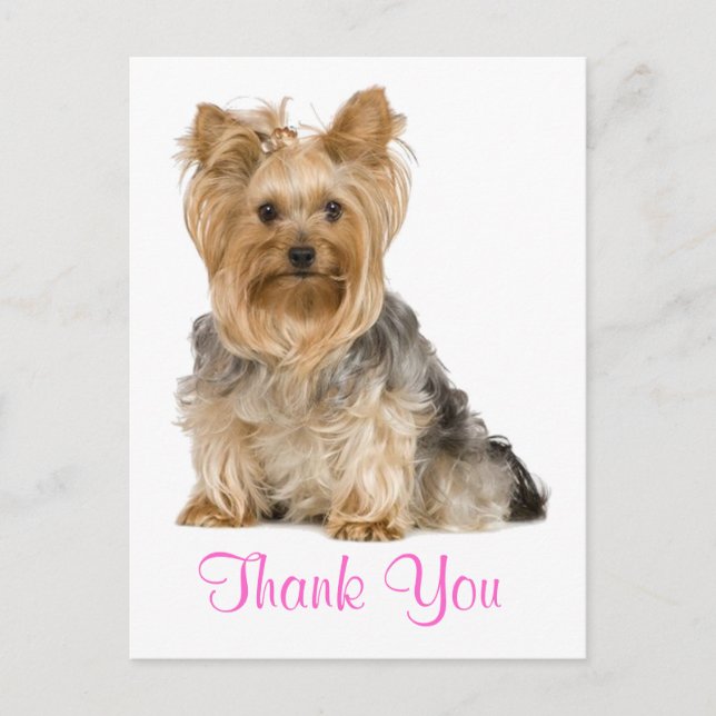 Thank You Yorkshire Terrier Puppy Dog Postcard (Front)