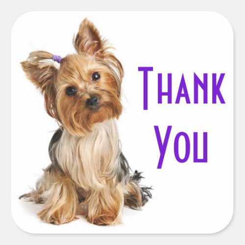 Thank You Yorkshire Terrier  Puppy Dog Stickers