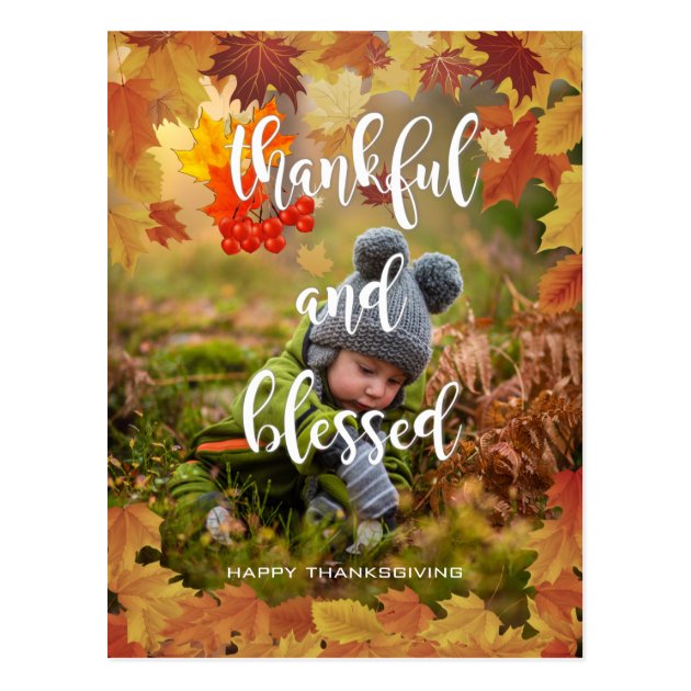 Thankful And Blessed Autumn Thanksgiving Photo Postcard