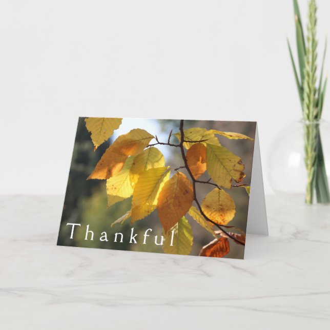 Thankful Autumn  Foliage Greeting Card (Front)