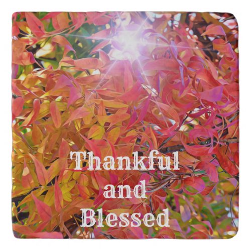 Thankful Blessed Fall Season Tile Trivet