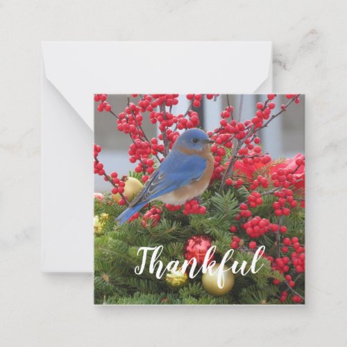 Thankful Bluebird Winter Solstice  Note Card