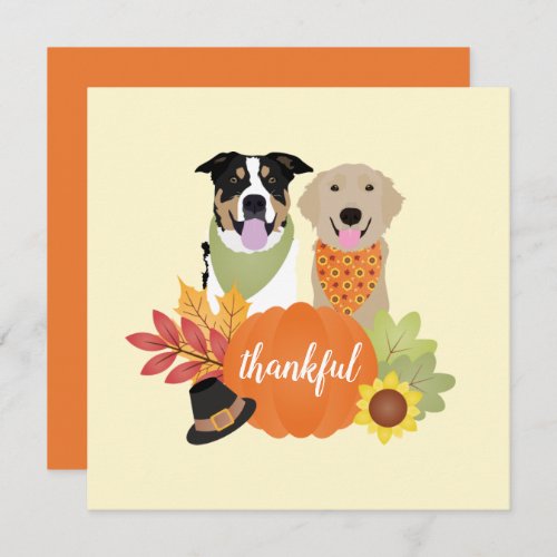 Thankful Dogs Thanksgiving Harvest Pumpkins