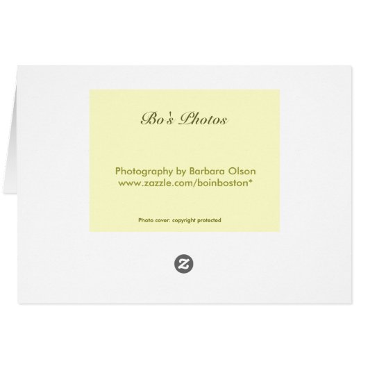 Thankful for you! (Back Horizontal)