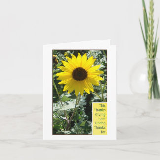 Thankful for You Holiday Card