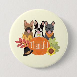 Thankful French Bulldogs Thanksgiving Button