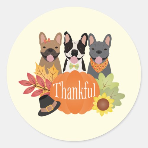 Thankful French Bulldogs Thanksgiving Classic Round Sticker