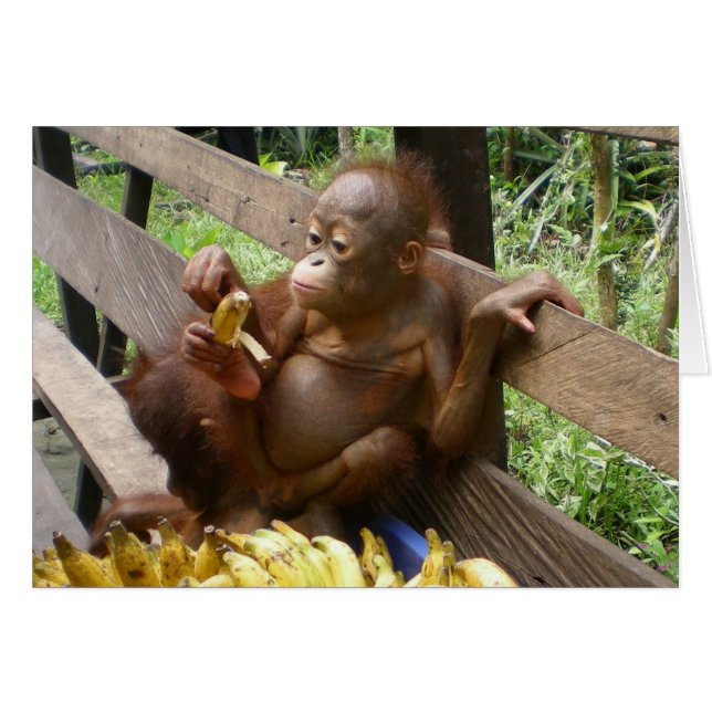 Thanks a Bunch Cute Baby Orangutans Cards (Front Horizontal)