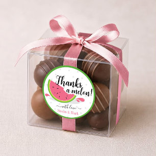Thanks a Melon Watermelon Thank You Sticker