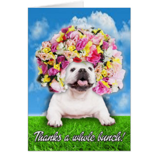 Thank You Bulldog Cards | Zazzle