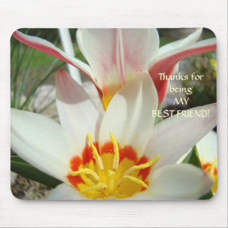 THANKS BEST FRIEND Gifts Mouse Pad TULIP FLOWERS