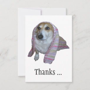 Thanks For All The Good Times Corgi Thank You Card