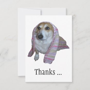 Thanks For All The Good Times Corgi Thank You Card by images2go at Zazzle