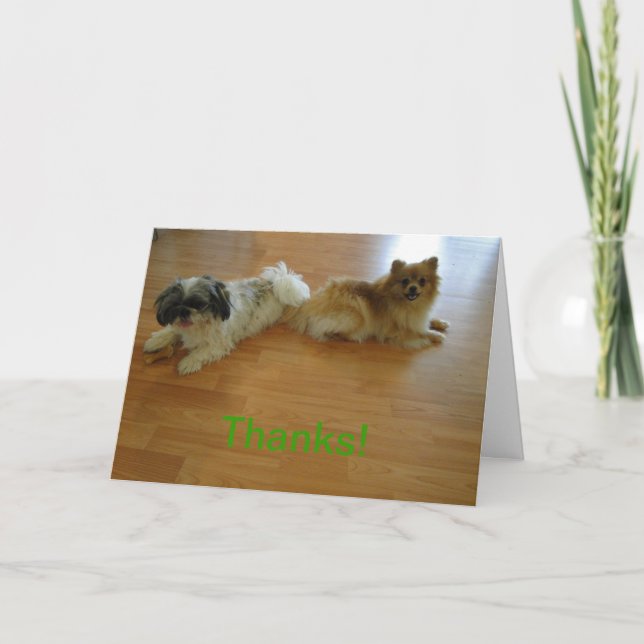 Thanks For Always Having My Back!, Dogs Thank You Card (Front)